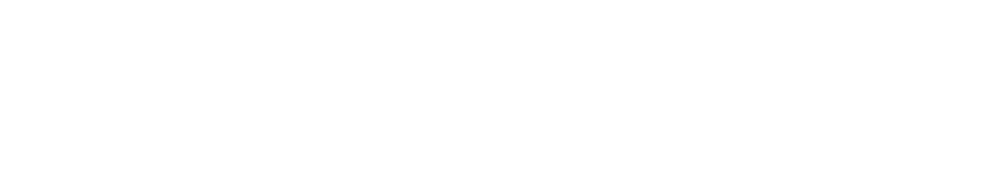 Logo Adiccon